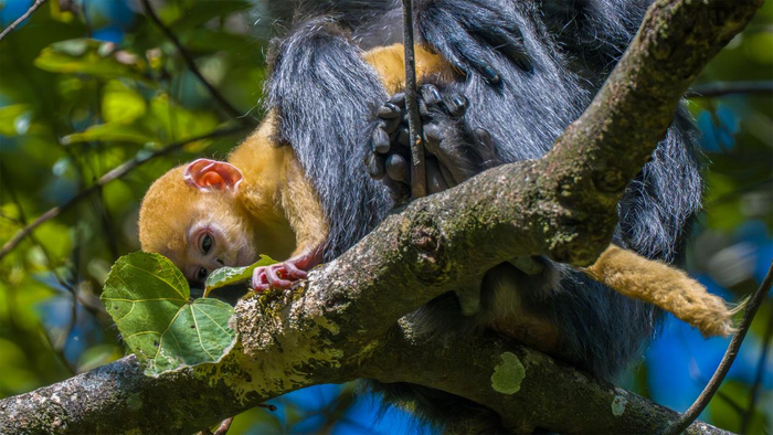 朱邊勇 攝。