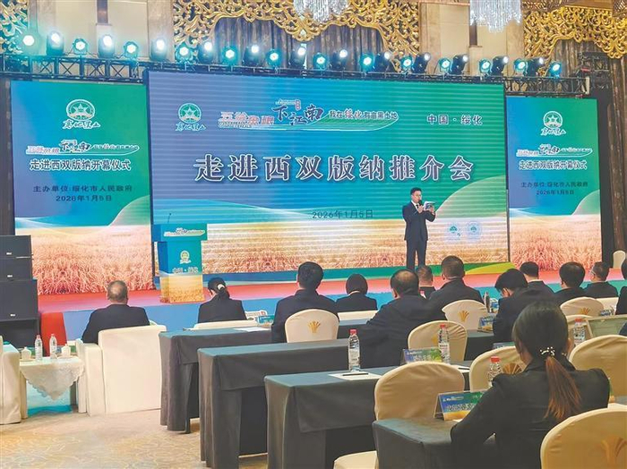     推介会现场。