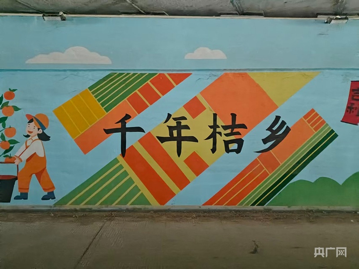 陳村鎮(zhèn)仙涌村隨處可見的年桔文化墻（央廣網(wǎng)記者 鄭少純 攝）