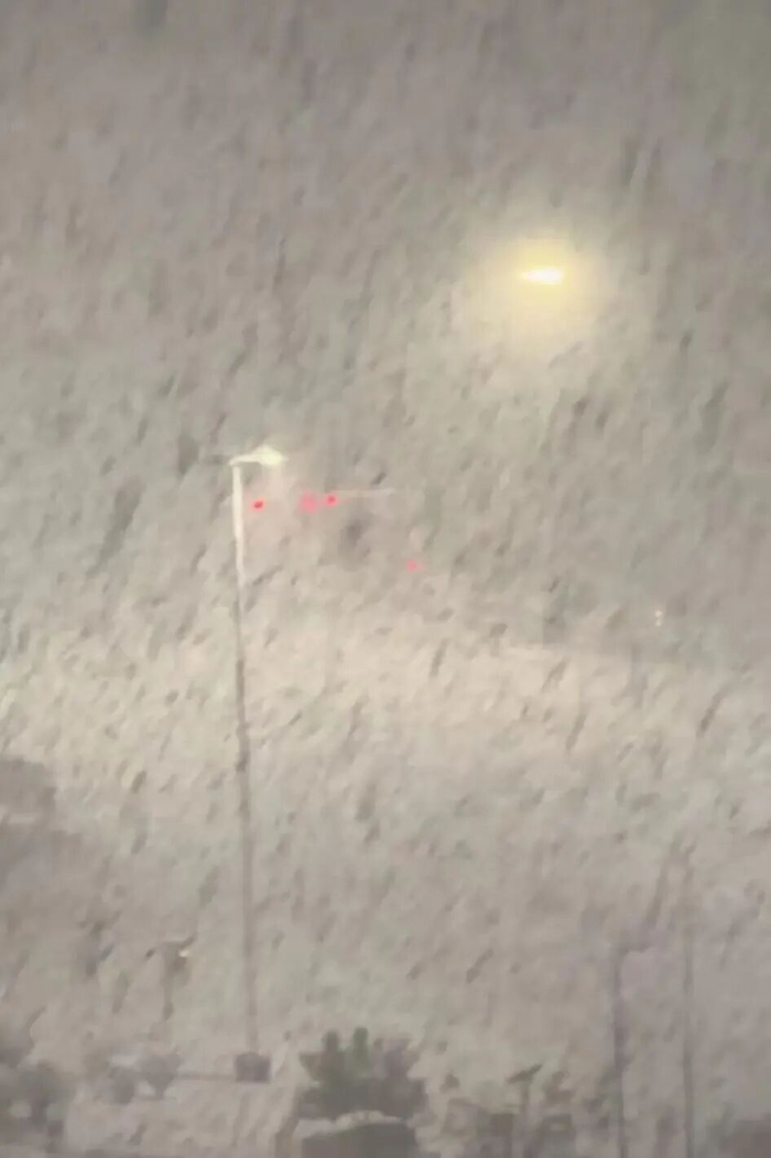 △威海大雪（图片来源：视频截图）
