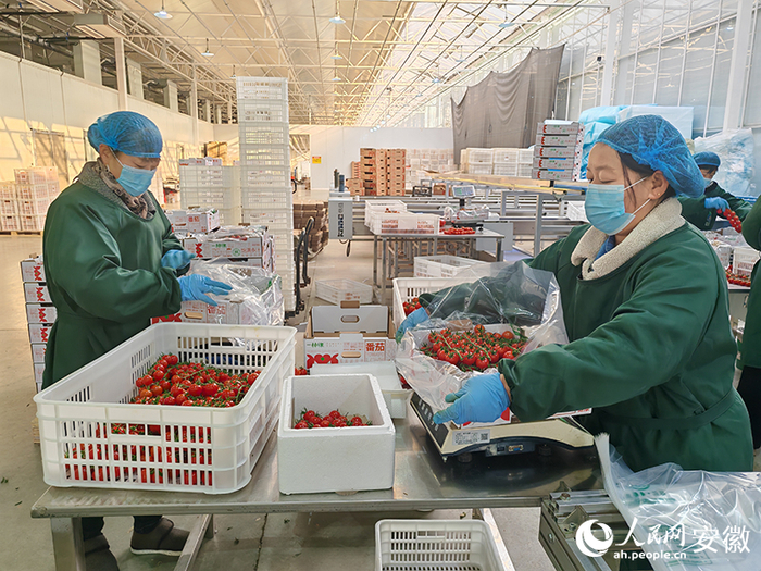 正在打包的工人。人民網(wǎng) 丁紀(jì)攝