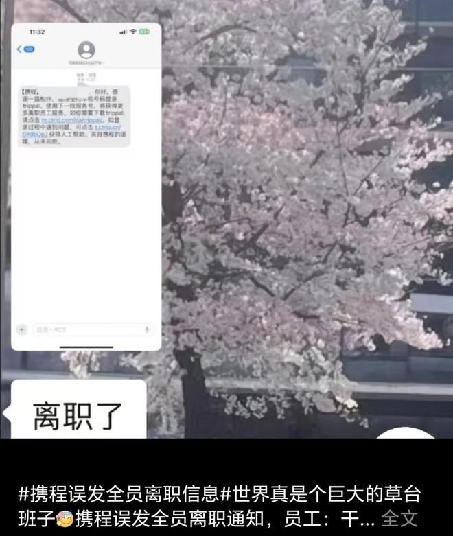  来源：社交平台