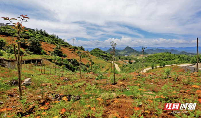 整治后的花垣縣花垣鎮(zhèn)響水洞礦區(qū)。