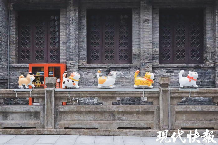 萌萌的“溜達(dá)喵”