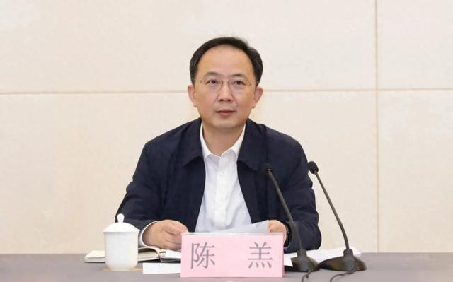 陈羔 资料图
