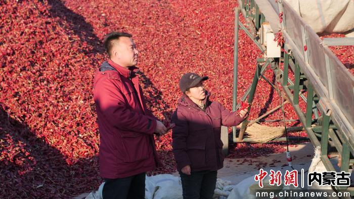吳海峰和肖永梅一起查看收購(gòu)的紅辣椒品質(zhì)。 王帥 攝
