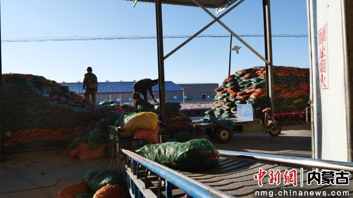 開(kāi)魯縣椒陽(yáng)食品有限公司工人們正在將辣椒入庫(kù)。 胡立忠 攝