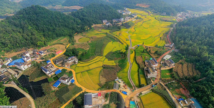 田蓬鎮(zhèn)下寨村委會上寨村小組