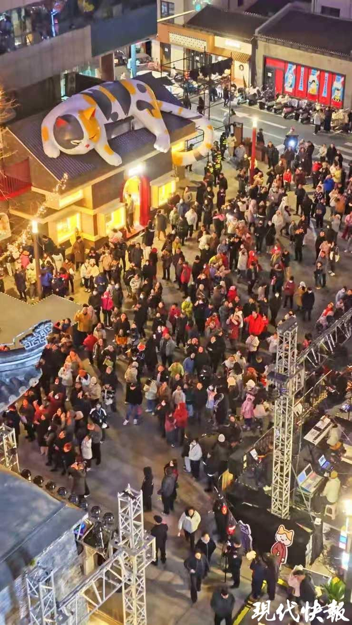 “大喵弄”人氣滿滿