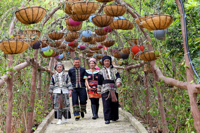 林下中草藥觀光園