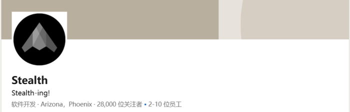 ▲“隐形（Stealth）”的领英主页资料（图源：领英）