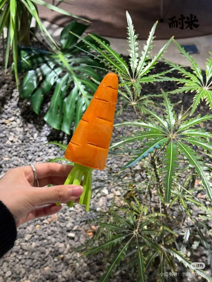 图片来源：小红书@耐米