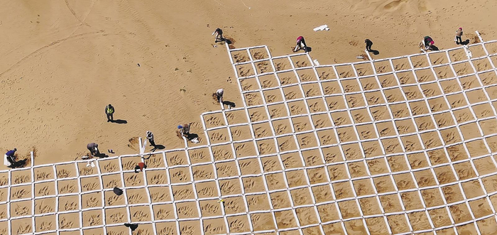 鋪設(shè)沙障。任龍祥?攝