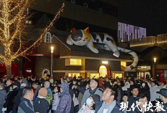 “大喵弄”人氣滿滿