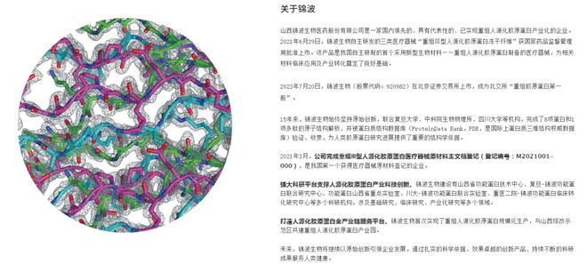 （来源：锦波生物官网）