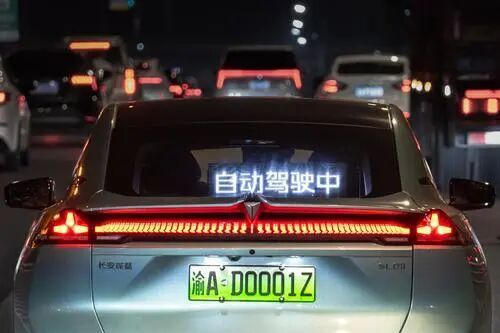 图片来源：重庆日报（李雨恒 摄）