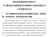 鼎龙股份筹划 H 股发行并在港交所上市 深化全球化战略布局