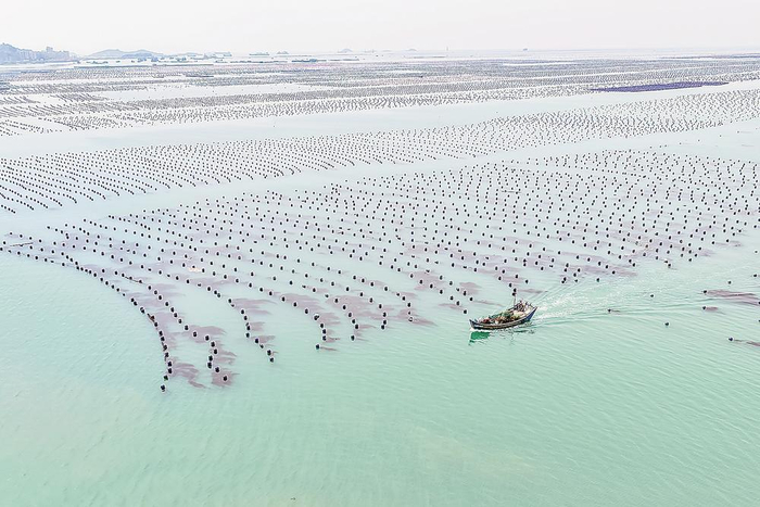 福建金融機(jī)構(gòu)為海洋經(jīng)濟(jì)注入金融活水。圖為連江縣筱埕鎮(zhèn)海洋牧場。 謝貴明 攝