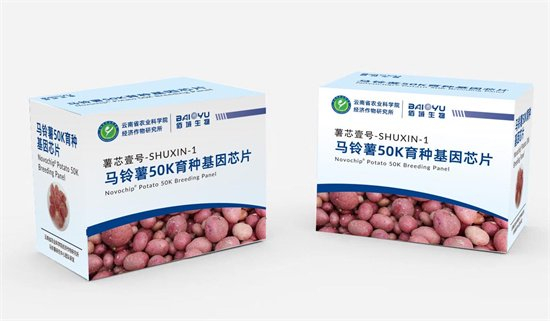“薯芯壹號”芯片