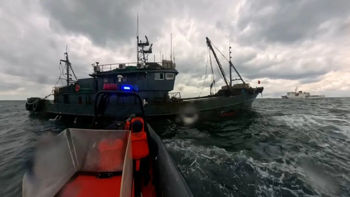 非法捕捞渔获物展示