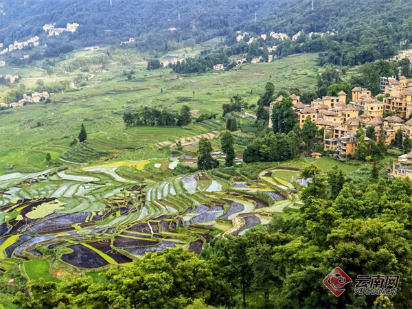 紅河哈尼族彝族自治州元陽縣阿者科村