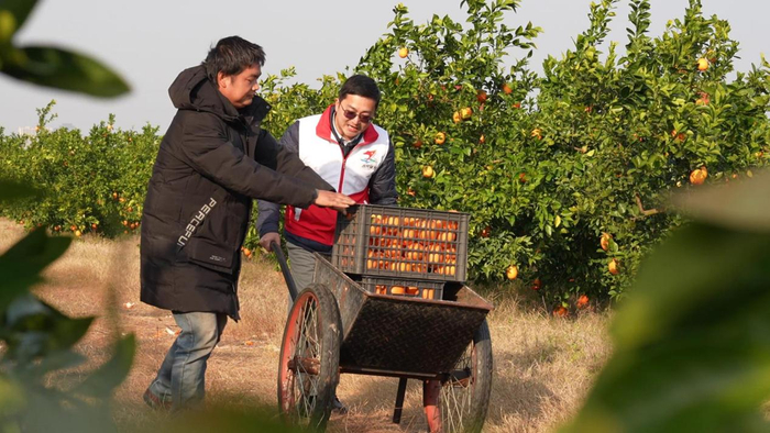 預熱海報、懸念短視頻、本地網(wǎng)紅的推介視頻在社交平臺快速傳播。2025年12月1日，“夜探橙林”首次試運營。