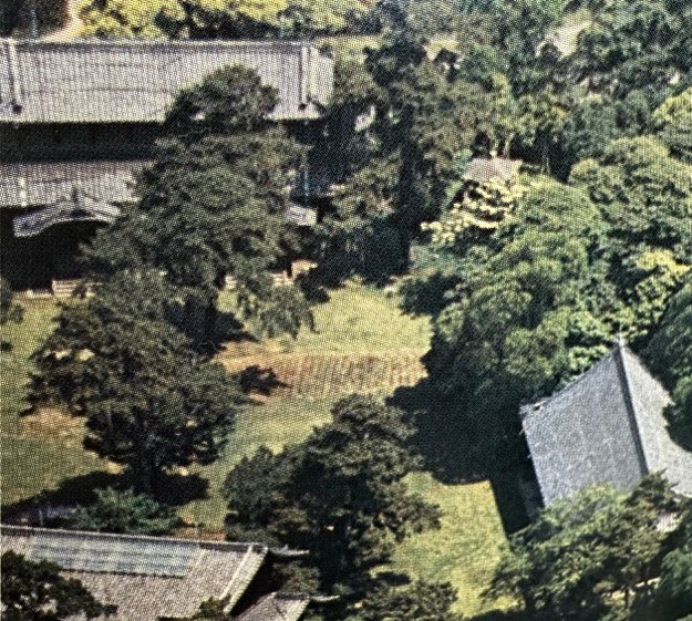 1983年航空拍攝的唐鴻臚井碑及碑亭照片