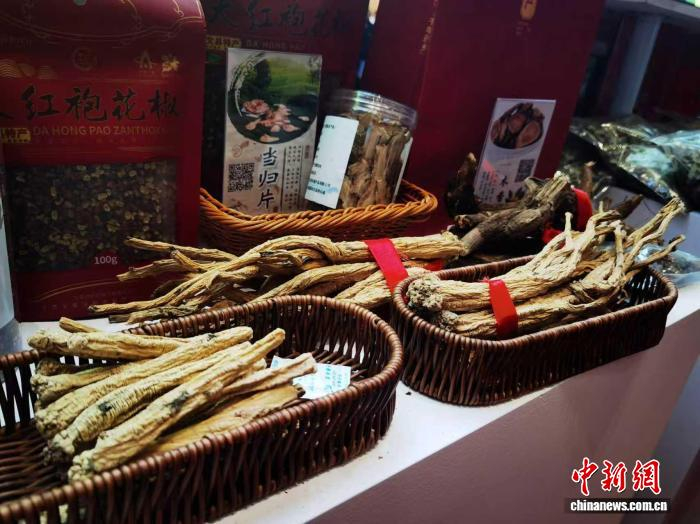 圖為展出的定西中藥材。(資料圖) 丁思 攝