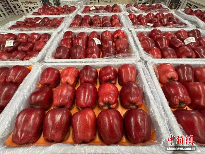 圖為天水花牛蘋果。(資料圖) 戴文昌 攝