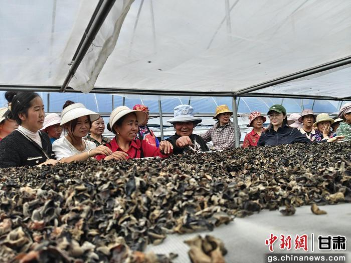 民眾喜獲豐收。甘肅省科學院生物研究所供圖