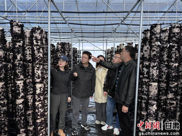 科研團隊現(xiàn)場指導。甘肅省科學院生物研究所供圖