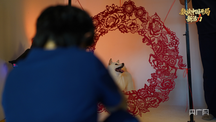 拍攝寵物新年寫真（央廣網(wǎng)記者 劉曉祺 攝）