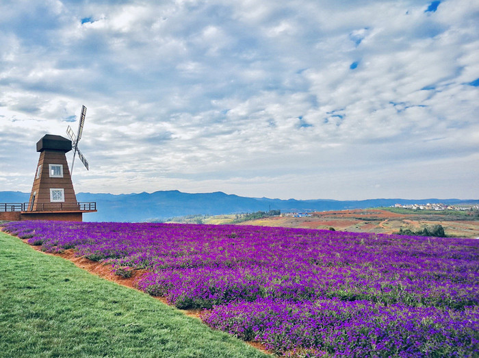 紅河州發(fā)展和改革委員會 供圖