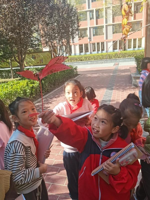 晨誦課學(xué)了一首寫(xiě)楓葉的小詩(shī)，涇川縣第三小學(xué)的同學(xué)們下課后觀察起了楓葉。受訪者供圖
