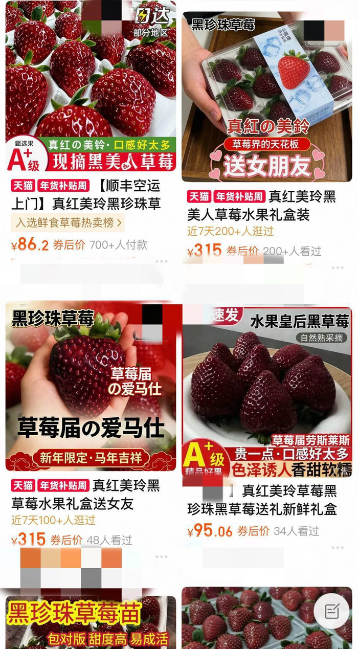 线上黑草莓价格在80—300元不等