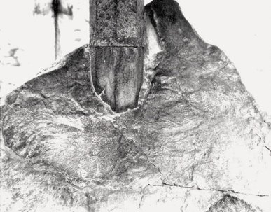 日本宮內(nèi)廳公布的唐鴻臚井碑及碑亭在建安府的近景照片