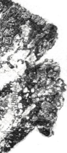 日本學(xué)者渡邊諒《鴻臚井考》一文中所引“明嘉靖李鉞題刻”拓片