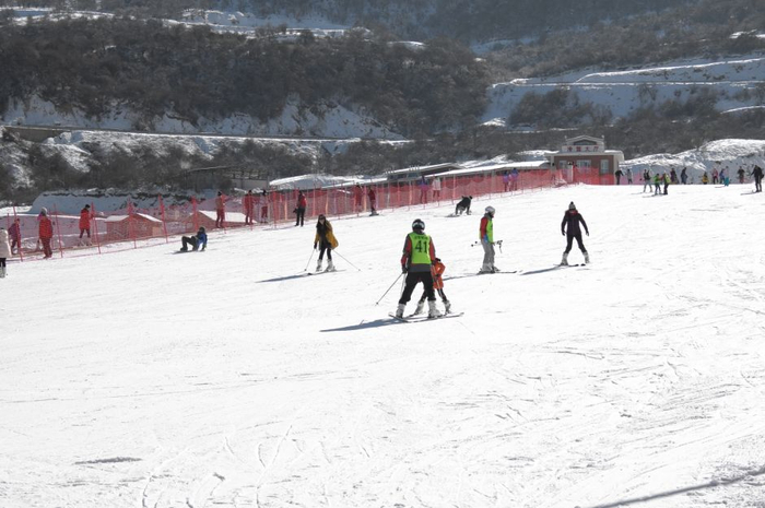 图片来源：每日经济新闻