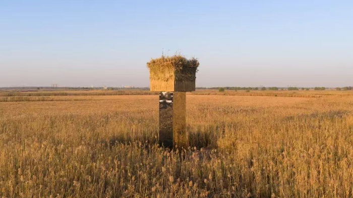 　　高9.5米的镜面艺术装置伫立在洞庭湖的芦苇荡中 来源：岳阳市文旅公司