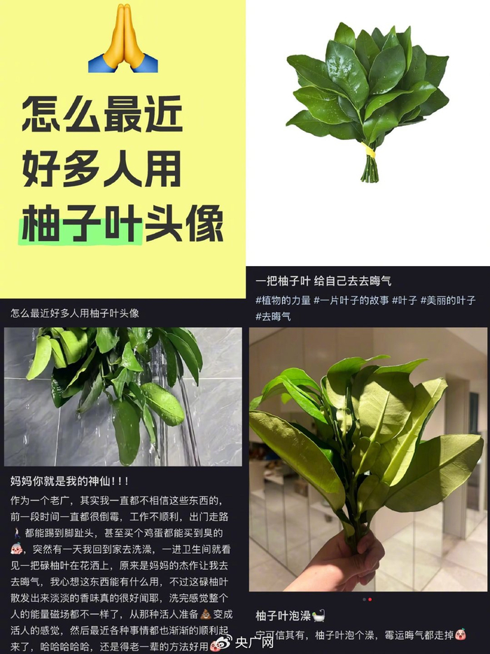 ​（截图自社交媒体）