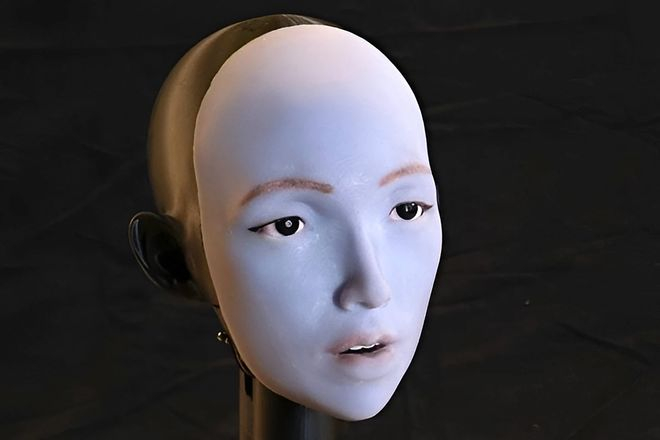 图源：哥伦比亚大学创意机器实验室（Creative Machines Lab）