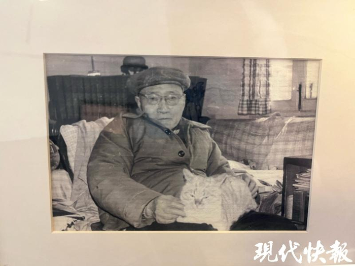 童寯与猫咪虎仔