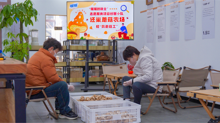 居民修剪香菇（央廣網記者 俞燁 攝）