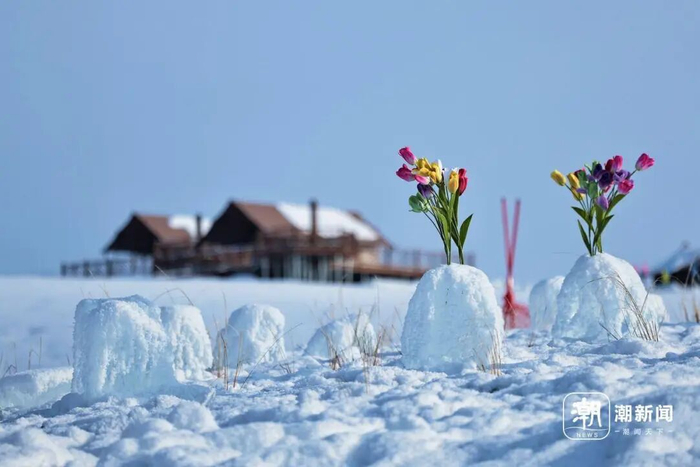 潮新闻记者 于诗奇 摄 