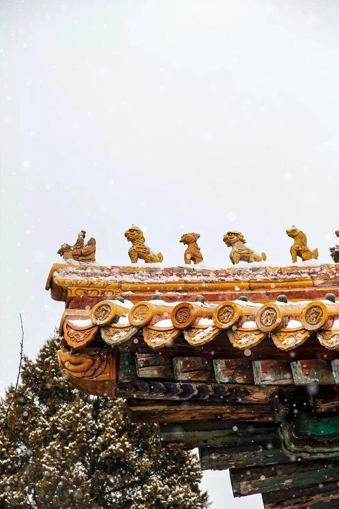 当第一片雪花悄落红墙，飞檐覆上蓬松的白，这座六百年的城，悄然变回记忆里的紫禁城。（来源：故宫博物院文化创意馆）