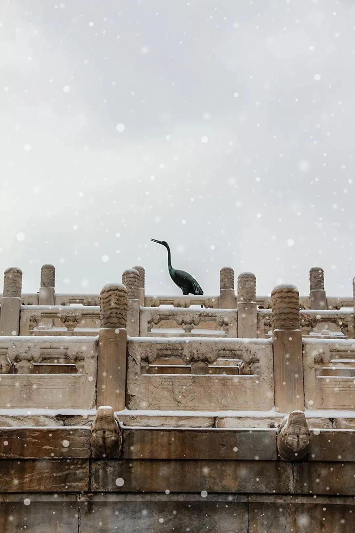 当第一片雪花悄落红墙，飞檐覆上蓬松的白，这座六百年的城，悄然变回记忆里的紫禁城。（来源：故宫博物院文化创意馆）