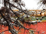 瑞雪至 故宫雪景“大片”又上新了
