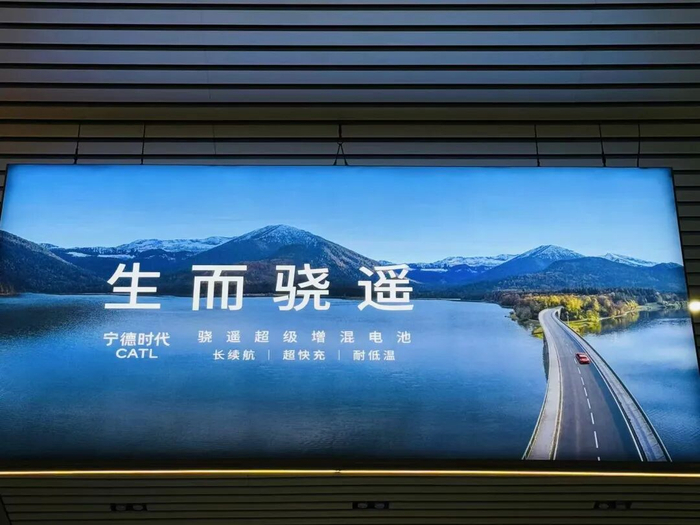 孙婉秋/摄
