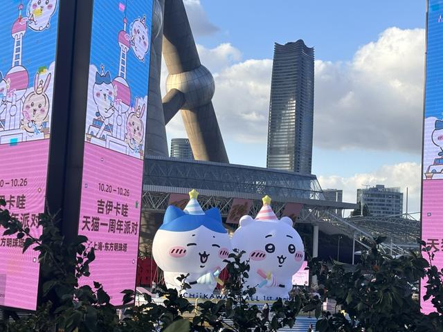 小八、吉伊。阮佳雯 摄