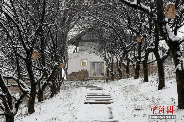 1月19日，西安市鄠邑区栗峪口村雪景。　王惠欣 摄